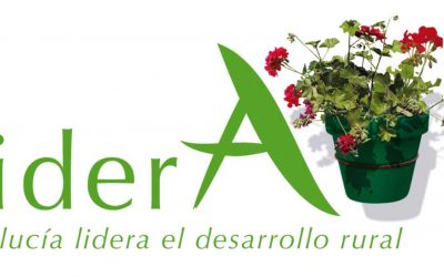 ORDEN 9 DE AGOSTO DE 2017 por la que se aprueban las bases reguladoras de las subvenciones LEADER submedida 19.4