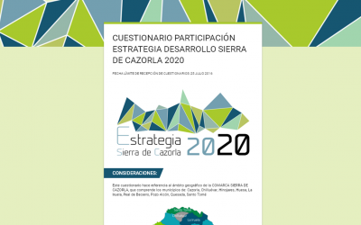 CUESTIONARIO ESTRATEGIA 2020 Sª CAZORLA