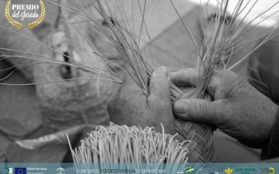 PREMIOS FOTOGRAFÍAS GANADORAS CONCURSO «FOTOESTRATEGIA TU TERRITORIO»