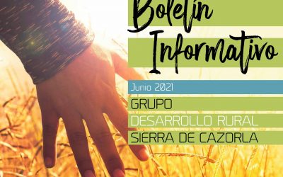 BOLETÍN INFORMATIVO DE SEGUIMIENTO PROGRAMA DE AYUDAS LEADER 2014-20. Junio 2021