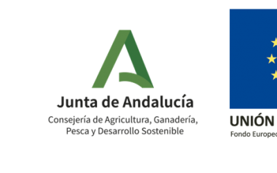 Publicada la PROPUESTA PROVISIONAL de ayudas LEADER – CONVOCATORIA 2020