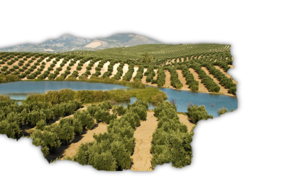 ABIERTO EL PLAZO DE INSCRIPCIÓN PROGRAMA DE FORMACIÓN EN MATERIA DE TRANSICIÓN ECOLÓGICA Y ENERGÉTICA