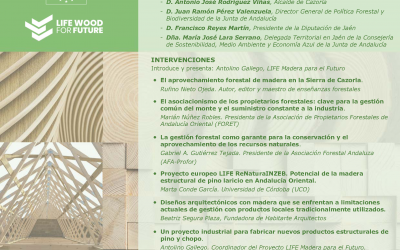 JORNADA TÉCNICA LA MADERA Y SU OPORTUNIDAD para CONSTRUCCIÓN SOSTENIBLE. Cazorla, 3 Marzo 17:00