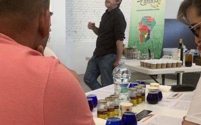 Conociendo la OLEOCULTURA. Programa de dinamización y divulgación de la Oleocultura entre la población en general.